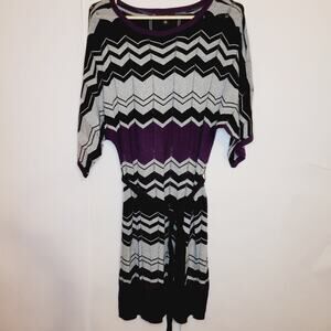AGB Vintage Silver And Purple Chevron Stripe Dolman Sleeve Sweater Dress